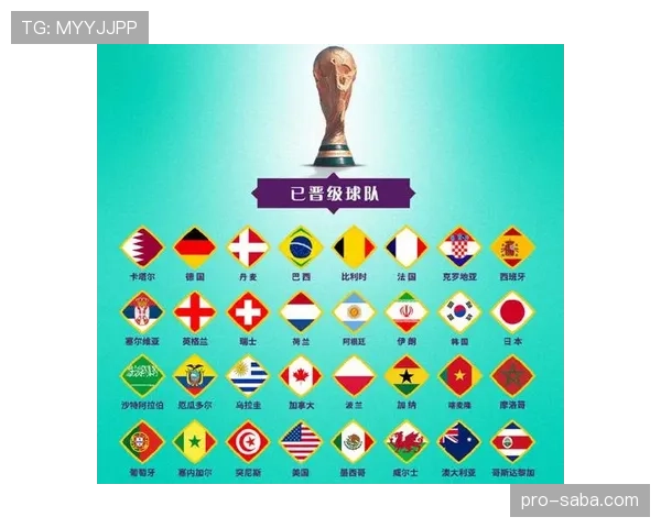 新西兰无缘世界杯32强:G组收官结果确定 新西兰无缘世界杯32强:G组收官结果确定